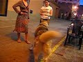 Wolf dog in Ibiza eating from Scottish Fish n Chip Shop,