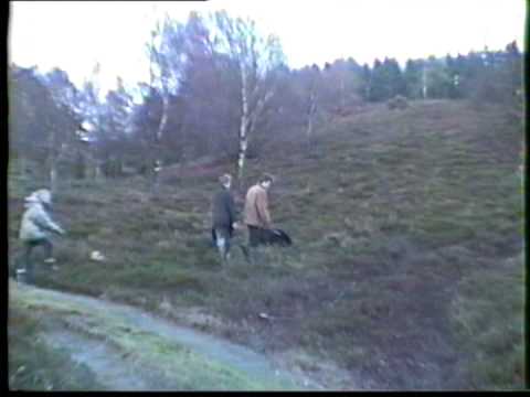 Skovtur i Resenbro