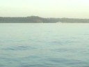 Navy Ship