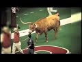 bevo bevo
