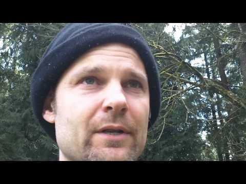 how to harvest stinging nettle