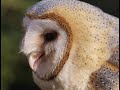 Natuurfotografie - Foto\ Natuurfotografie - Foto\