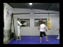 TREINO LIVRE TREINO LIVRE