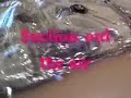 Space Bag Demo with Ragdoll Cat\