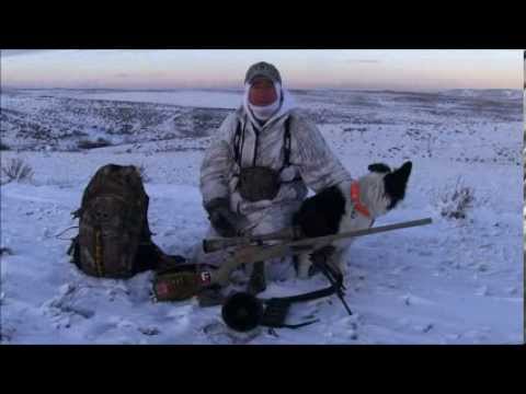 how to locate coyotes
