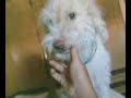 Linda jugando 1