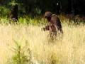 Bigfoot-Sightings-an