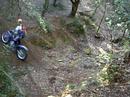trial  en palamos