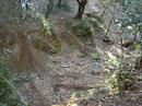 trial  en palamos