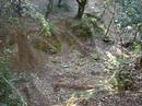 trial  en palamos