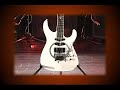 Close ups of Chris Amotts new Caparison Dellinger-CA
