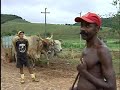 Em Laje do Muriaé, produção é perdida por causa do difícil acesso