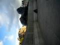 Boneless//TrafalgarSquare