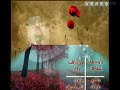 صدفه لشاعر فهد مساعد