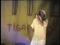 função dns {eu to vivão ao vivo} pantinhagem