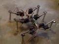 Hexapod - walking robot