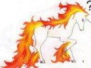 rapidash- through the fire and the flames