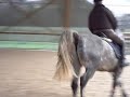 Rohirrim & Moi, cours
