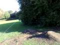 rc nitro car jumps