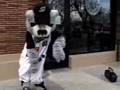 Dinger Dance Video 2006