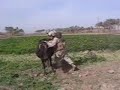 Iraqi cowboy