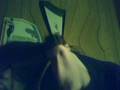 videos de MUNCH MUNCH