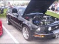 Mustang week 2008