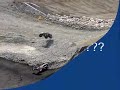 TRAXXAS BANDIT VS RUSTLER. RC CAR TRUCK VIDEO.