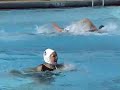 Water Polo Life (CSUN)