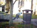 UBS Parkour Team Skipton - Sunday In Skipton