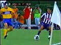 Cabrito burla a tigrillo Cabrito burla a tigrillo