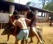 Foto v�deo