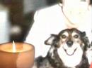 The Tippy Story: Keaton becomes very sick