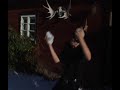 Br�derna Fluff och jakten p� det f�rsvunna sk�gget, del 1