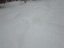 Ronzi Shralping a bit of Montana powder