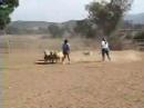 Thunder Herding 2