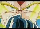 Vegeta Tribute