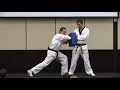 Blackbelt in Excellence Live - Part 1 - Martial Arts