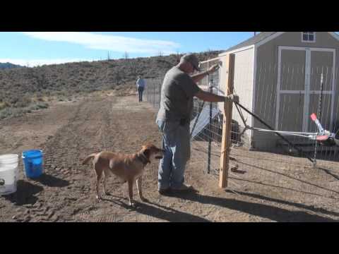 how to attach welded wire fencing to t-posts