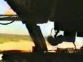 An-12 in Africa