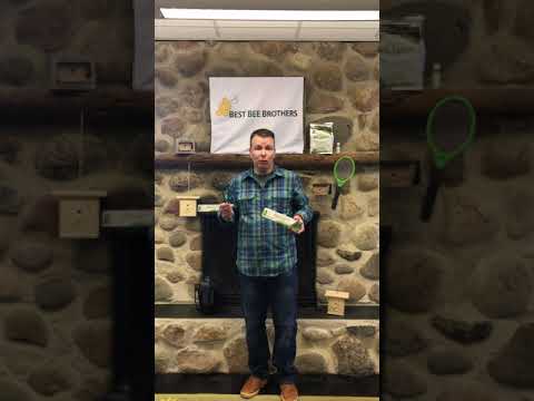 image preview of video showcasing Mosquito Repellent Incense Sticks: How Do They Work