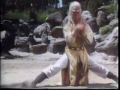 kung fu seven steps of kung fu kung fu seven steps of kung fu