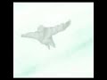 Kill Kenada - FLY Kill Kenada - FLY