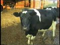On the Farm with the Franklins