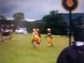 Carrick Knights