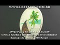 2992# Palau $5 2009 PRATA Ø39 UNICA MOEDA DO MUNDO COM CHEIRO! Emissão de apenas 2500 Peças!