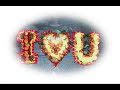 SchutzEngel feat cY - Mein Herz Schreit SchutzEngel feat cY - Mein Herz Schreit