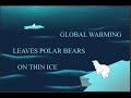 Global Warming PSA