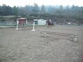 TB GELDING FOR SALE IN CA $2500 (6)