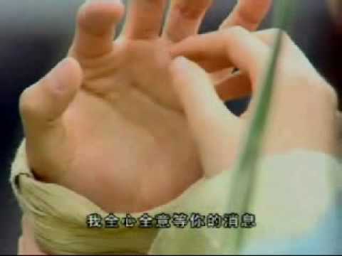 Xian Jian (Chinese Paladin) Ling Er MV